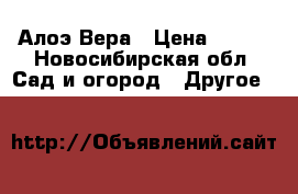 Алоэ Вера › Цена ­ 300 - Новосибирская обл. Сад и огород » Другое   